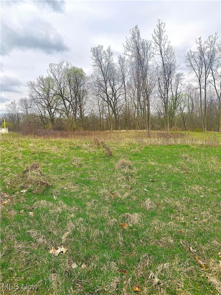 East Bagley Road Cleveland, OH 44130 - Photo 2 of 2 View of yard
