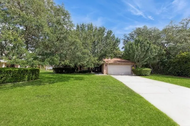 a view of a house with a yard and a tree