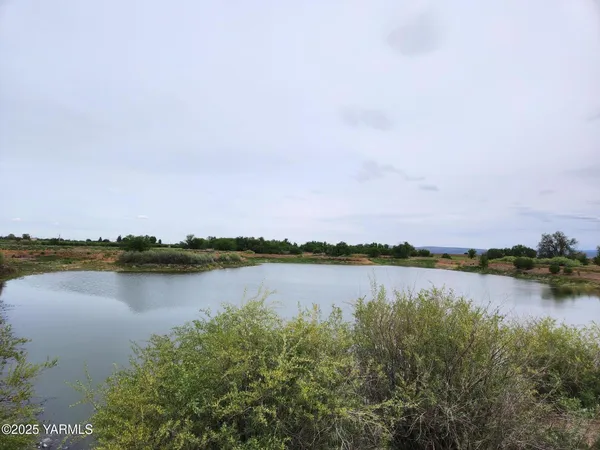 a view of a lake with houses in the back