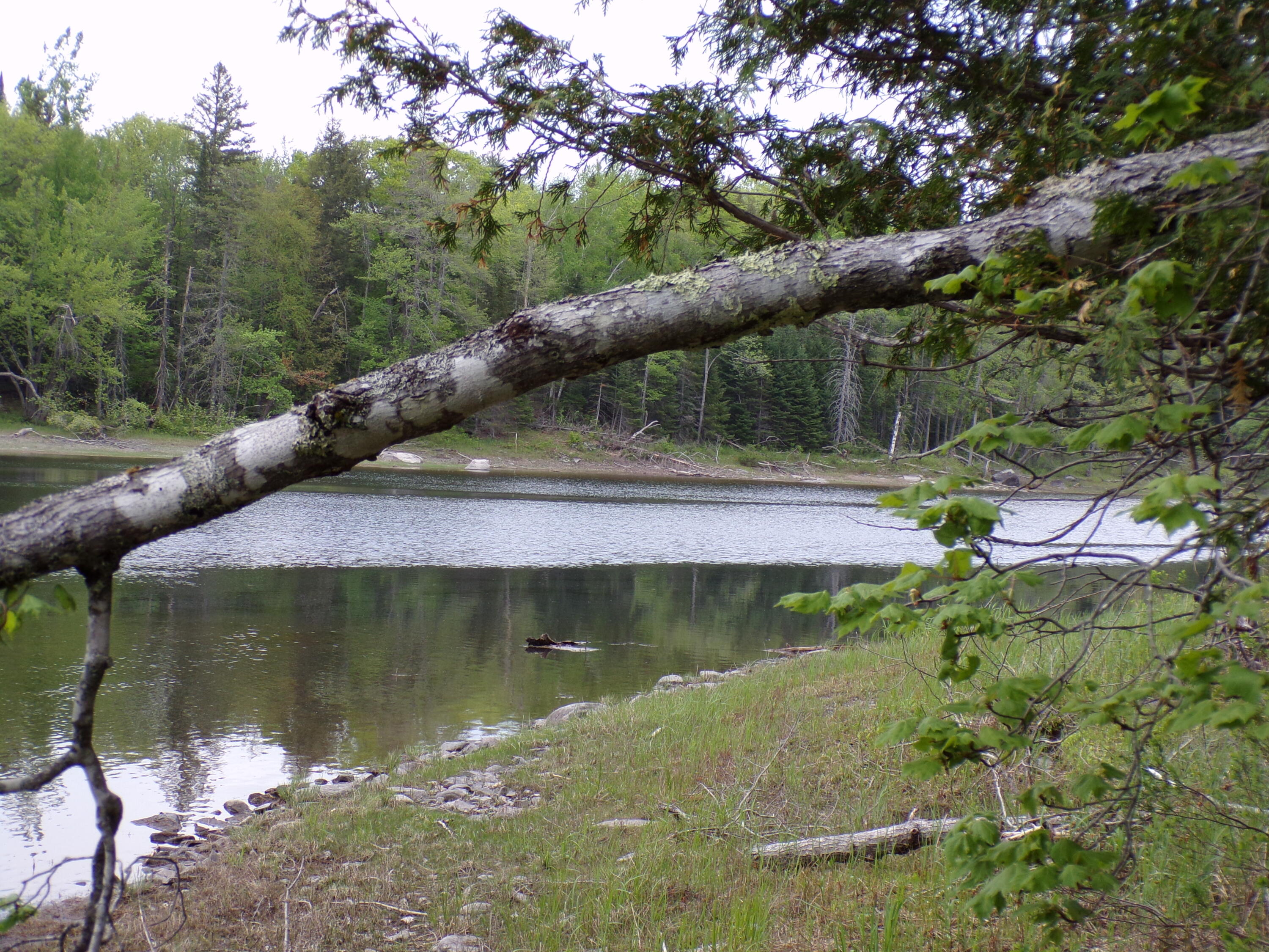 0 Town Farm Road Sebec, ME 04481 - Photo 2 of 15 101_0079 (1)