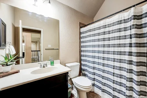 a bathroom with a sink a toilet a mirror and shower curtain