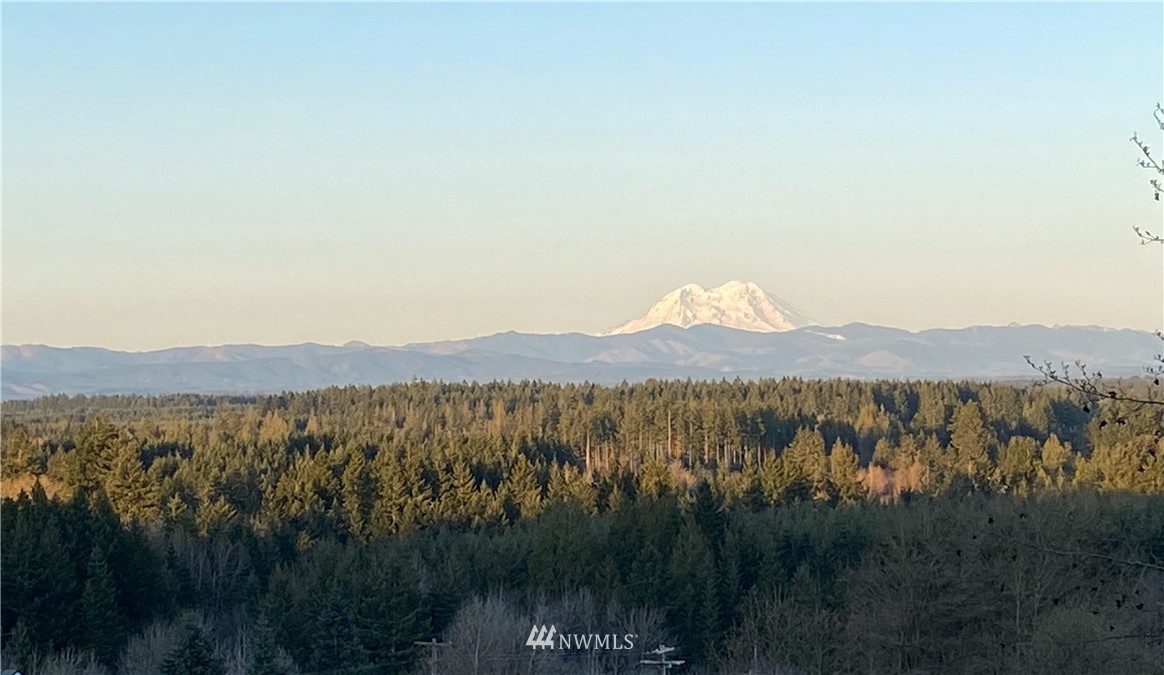 137 Rayburn Road West Winlock, WA 98596 - Photo 1 of 36