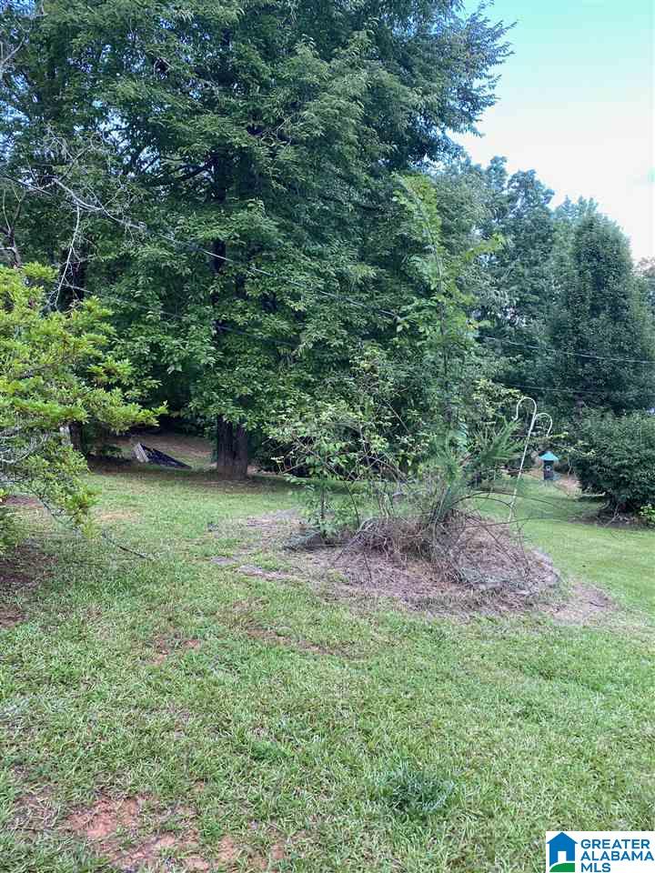 1180 Cox Cove Road Hayden, AL 35079 - Photo 15 of 15
