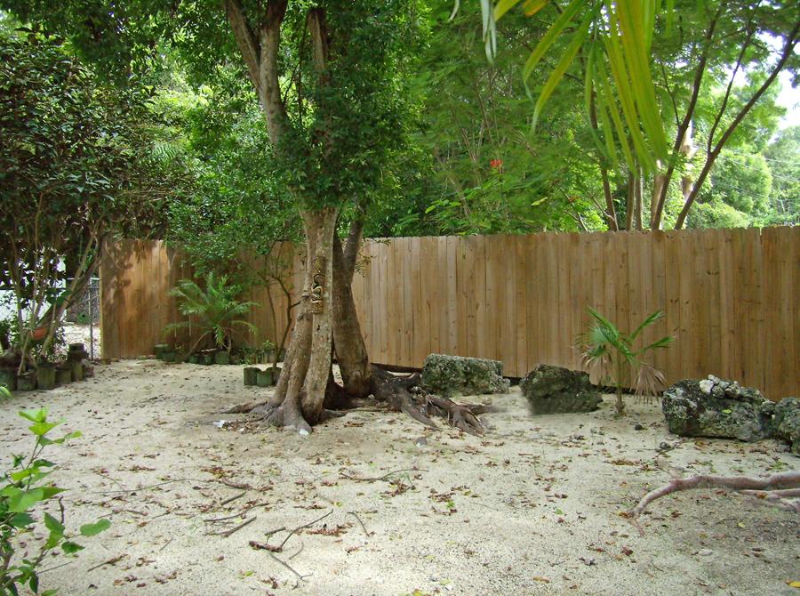 13 Dolphin Road Key Largo, FL 33037 - Photo 16 of 20 Yard