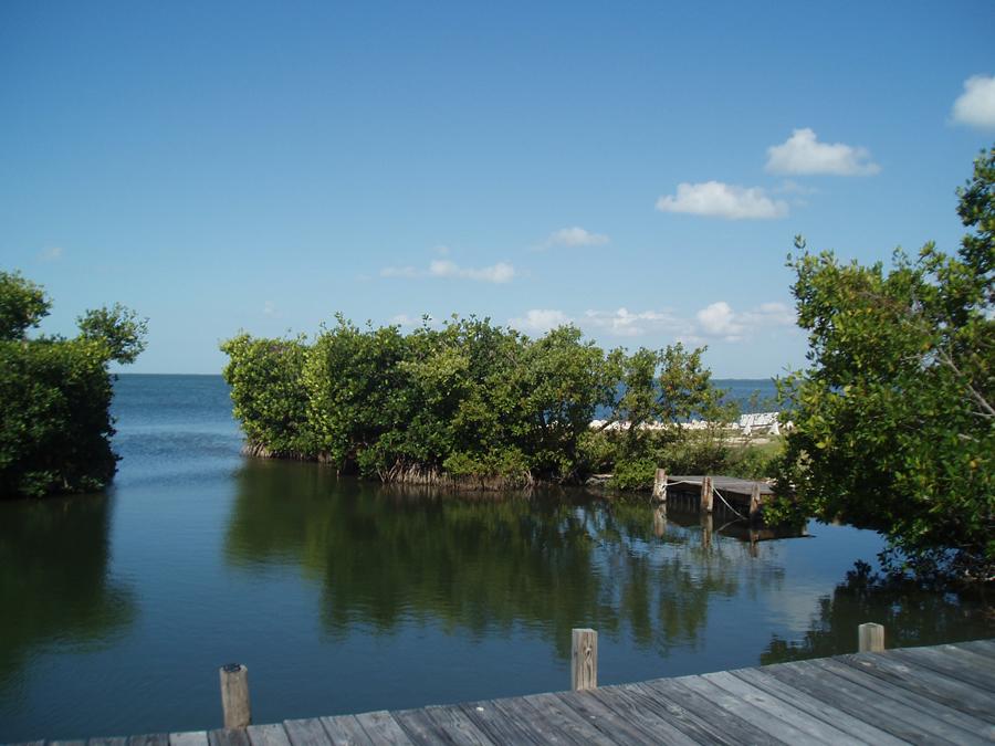 13 Dolphin Road Key Largo, FL 33037 - Photo 19 of 20 Owners' Park Boat Basin