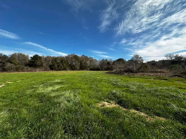 a view of an outdoor space and a yard