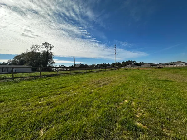a view of a big yard with a large tree