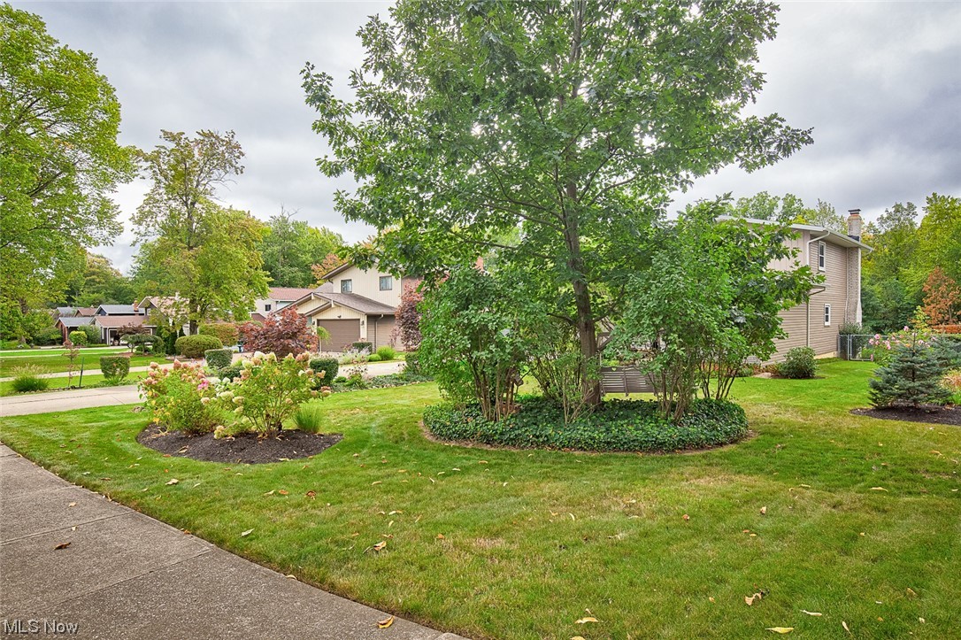 31950 Cannon Road Solon, OH 44139 - Photo 26 of 33 View of yard