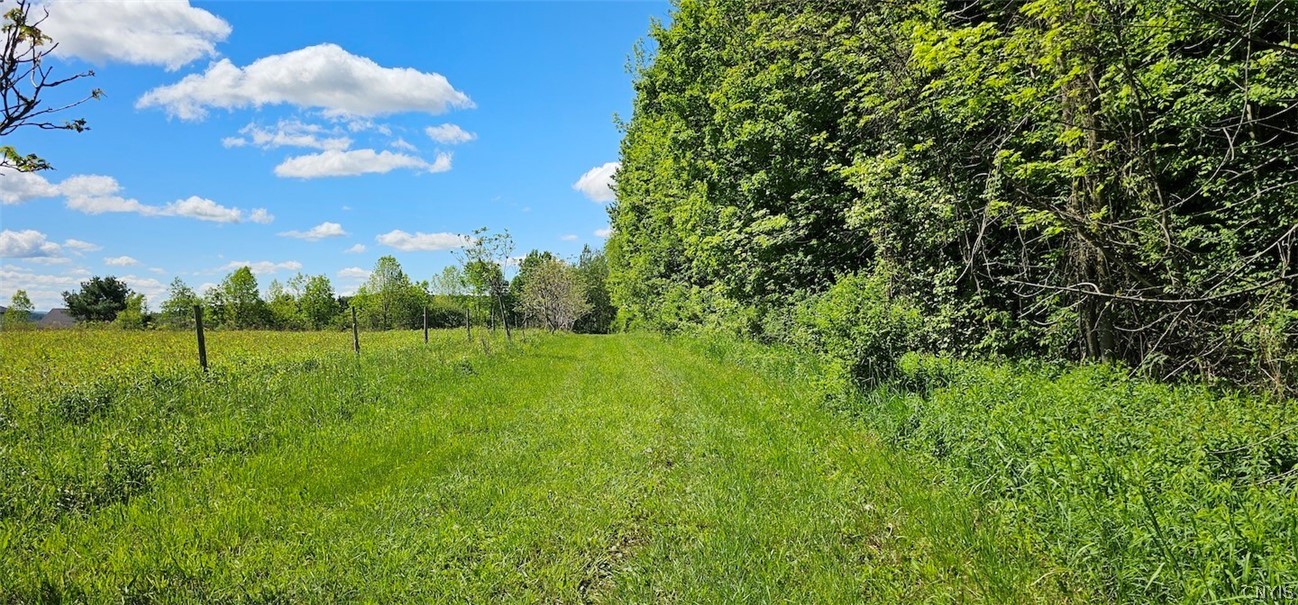 Sprouls Road Cortland, NY 13045 - Photo 19 of 48