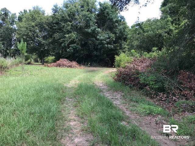 339 Blackburn Lane Brewton, AL 36426 - Photo 10 of 13 Bottom of Drive