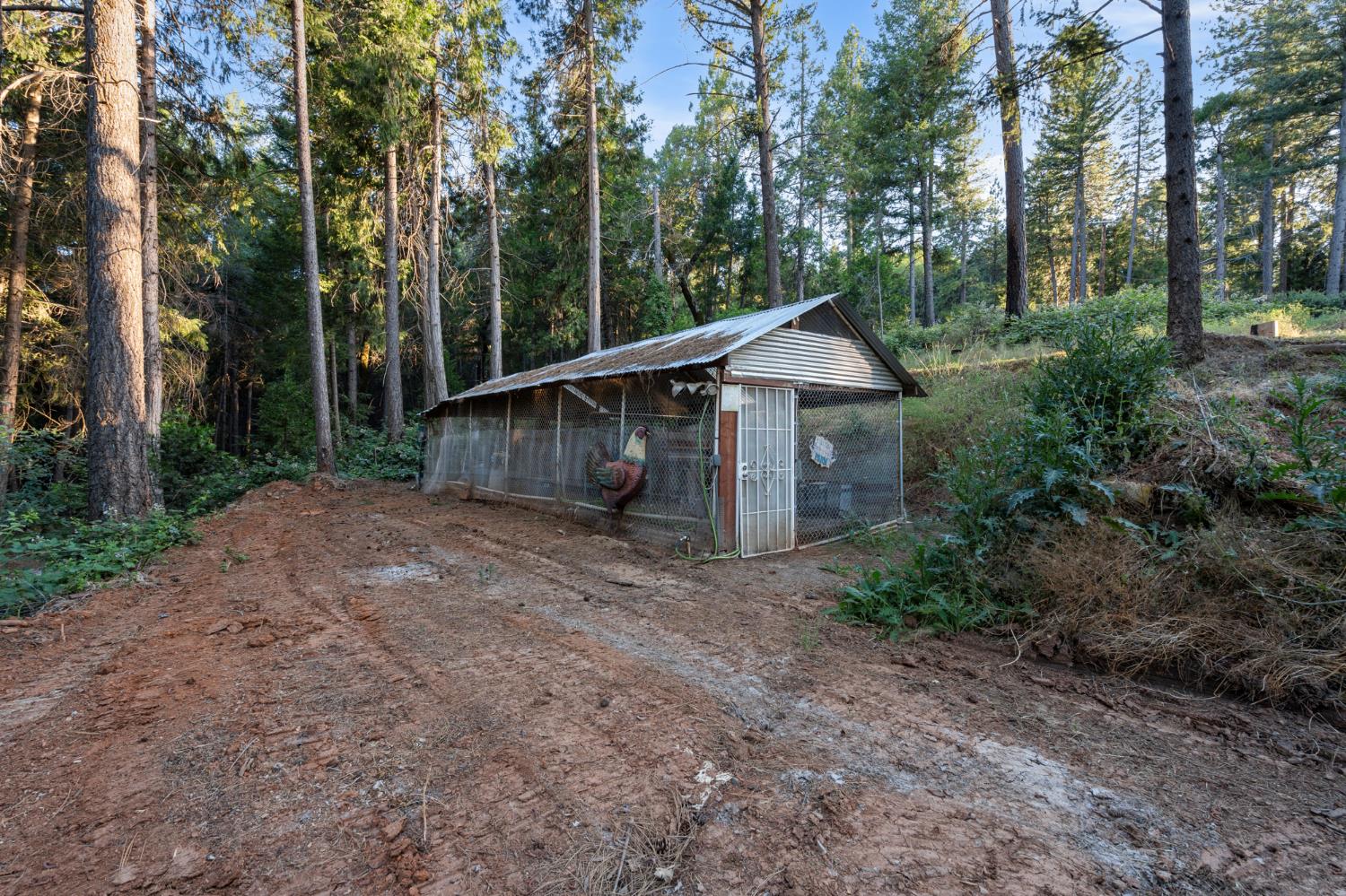 3875 Deer Canyon Road Placerville, CA 95667 - Photo 27 of 41