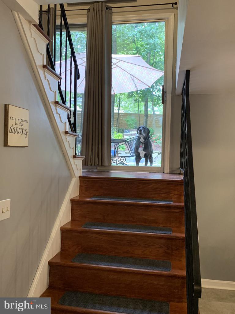9209 Setter Place Springfield, VA 22153 - Photo 39 of 56
