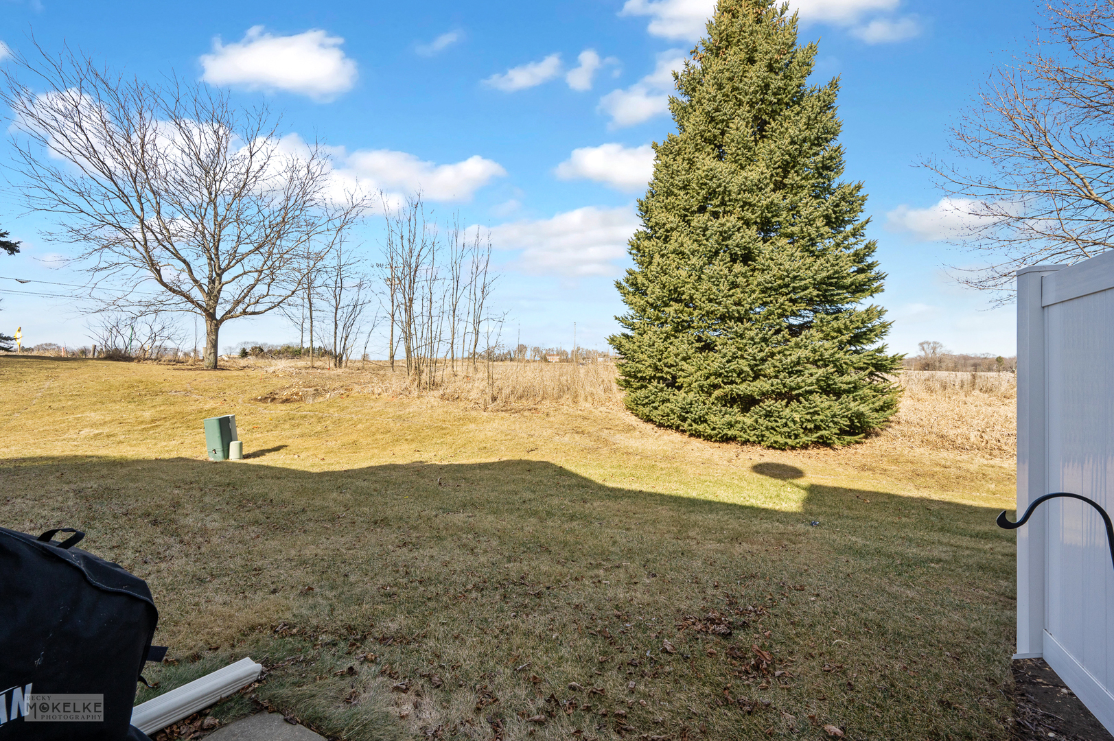 26 Rolling Oaks Road Sugar Grove, IL 60554 - Photo 25 of 25 a view of a yard with wooden fence