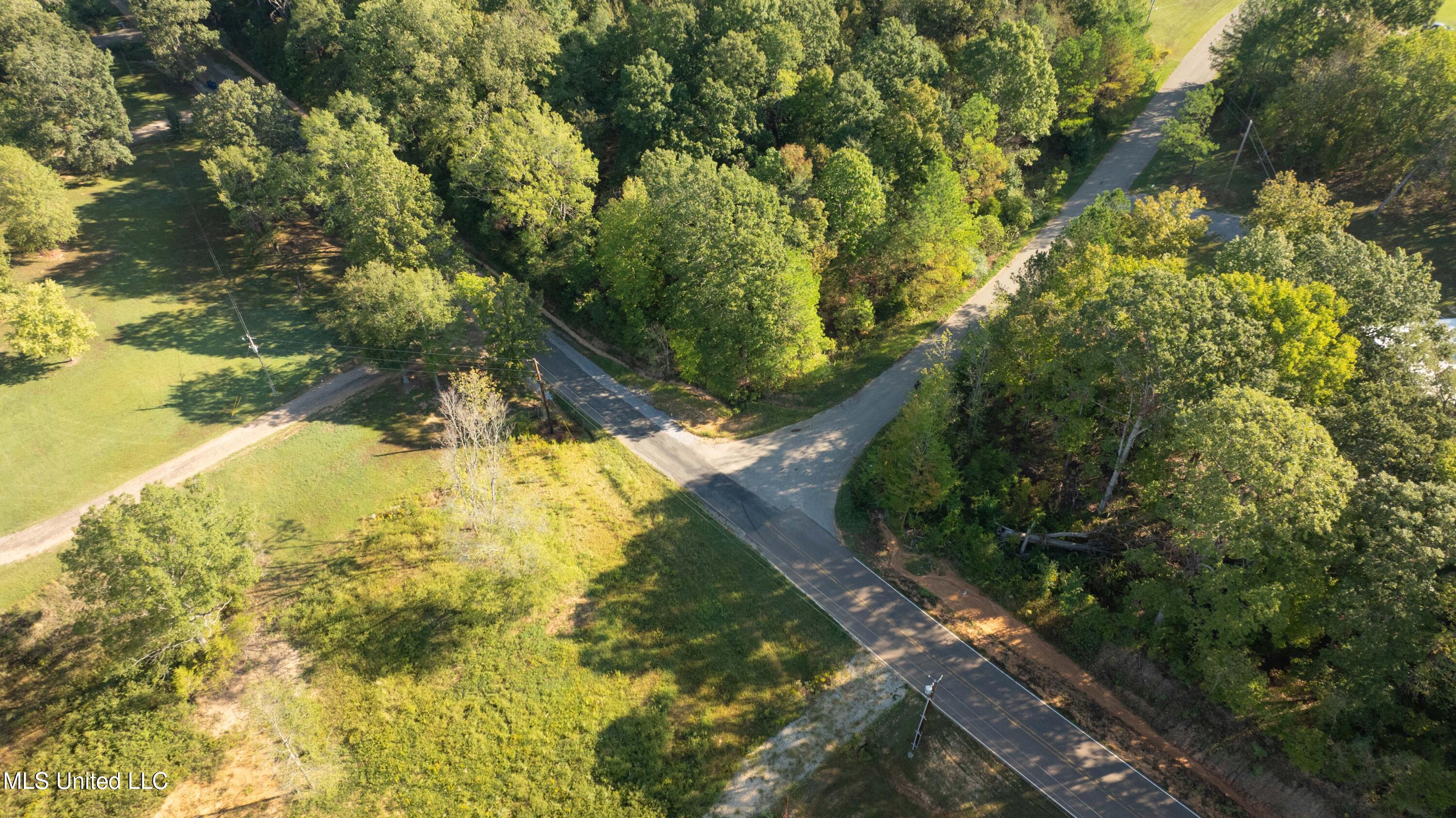 Cooper Road Byhalia, MS 38611 - Photo 13 of 13 DJI_0865