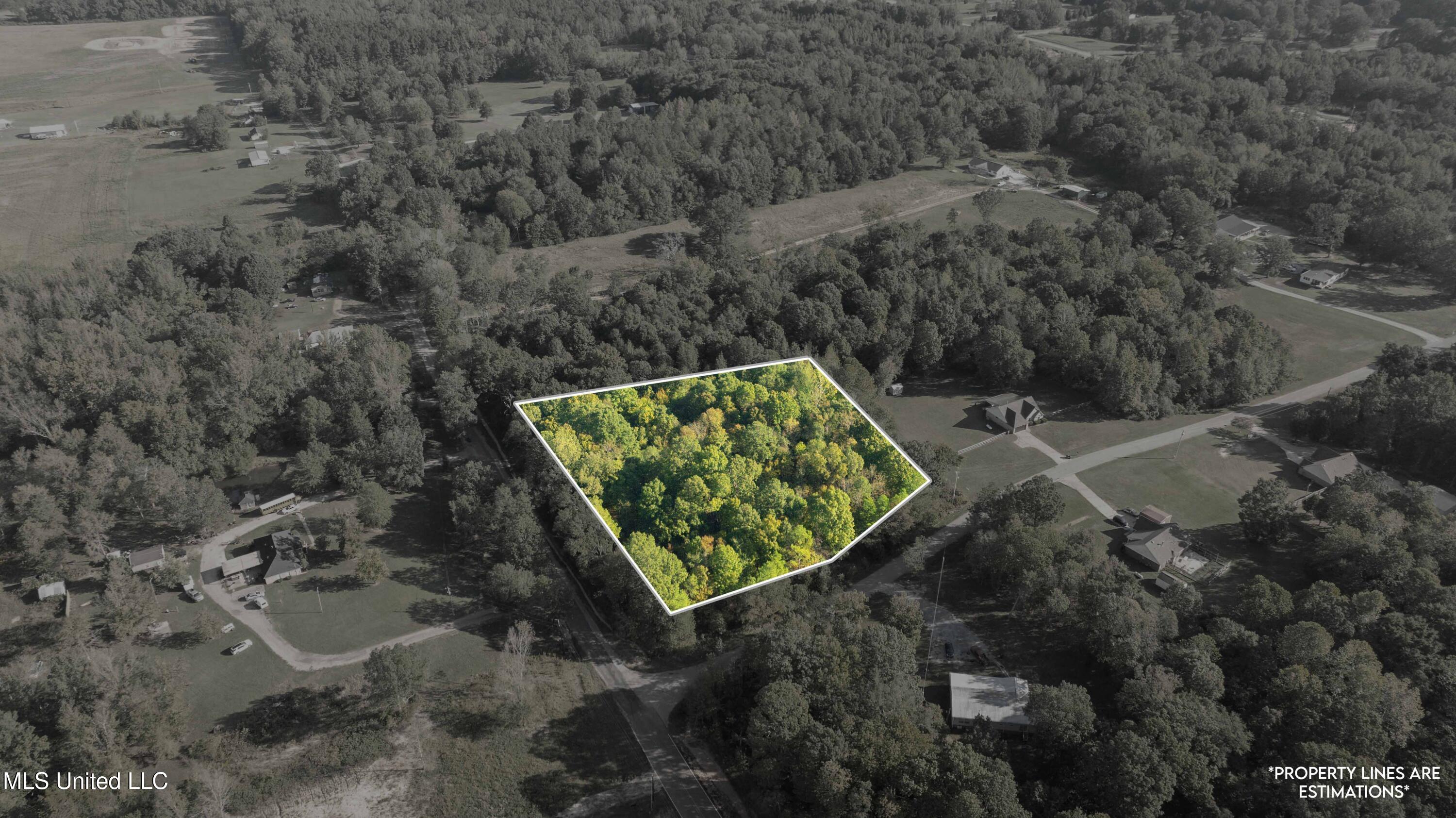 Cooper Road Byhalia, MS 38611 - Photo 5 of 13 DJI_0856 property lines