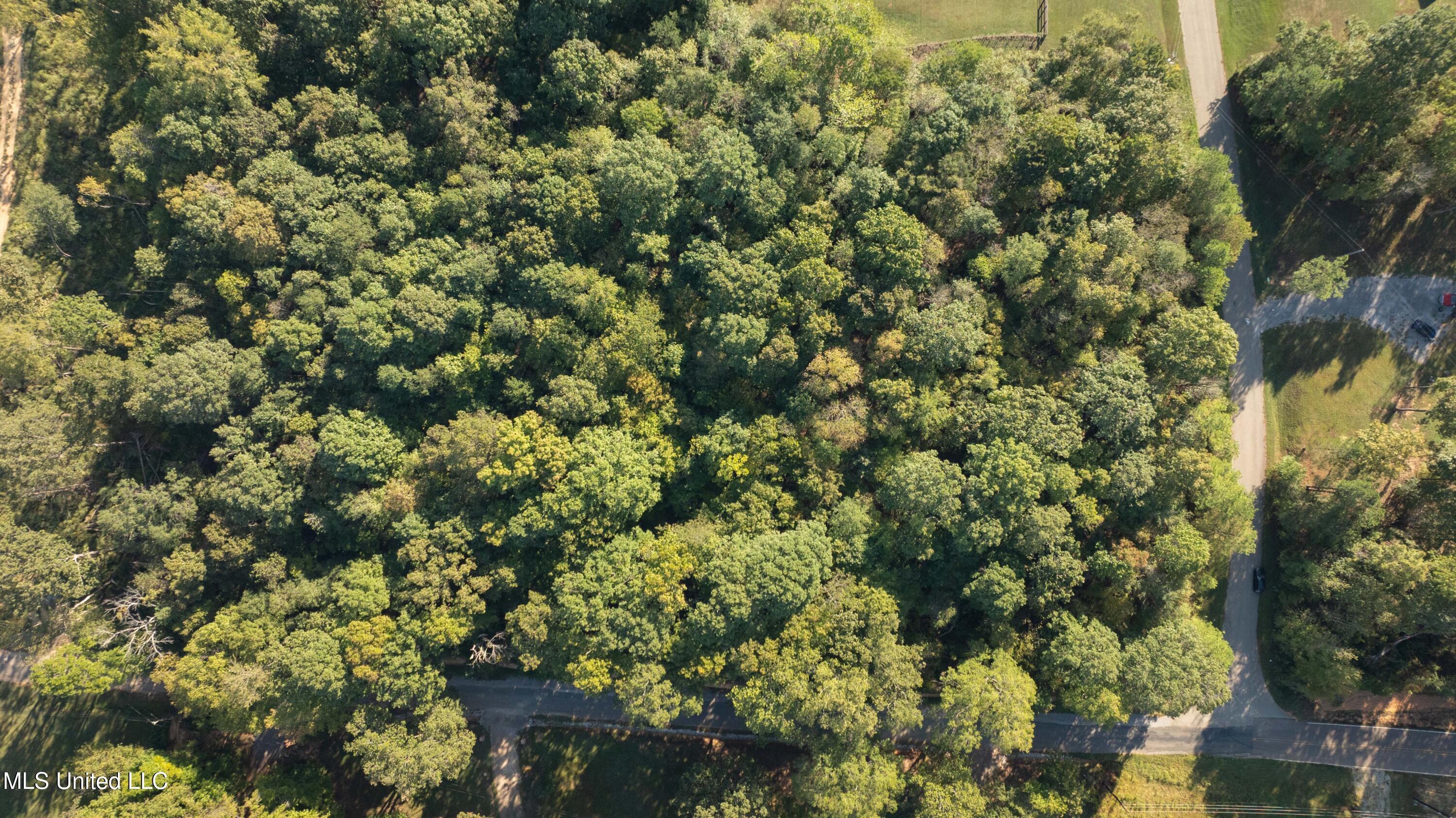 Cooper Road Byhalia, MS 38611 - Photo 6 of 13 DJI_0864