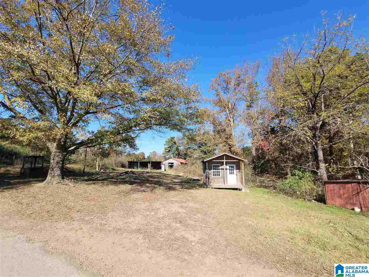 41 Gip Yates Road Blountsville, AL 35031 - Photo 1 of 5