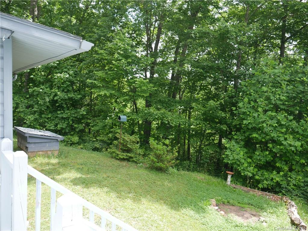 154 Paul Harvey Road Balsam Grove, NC 28708 - Photo 23 of 26 Gallery Image 23