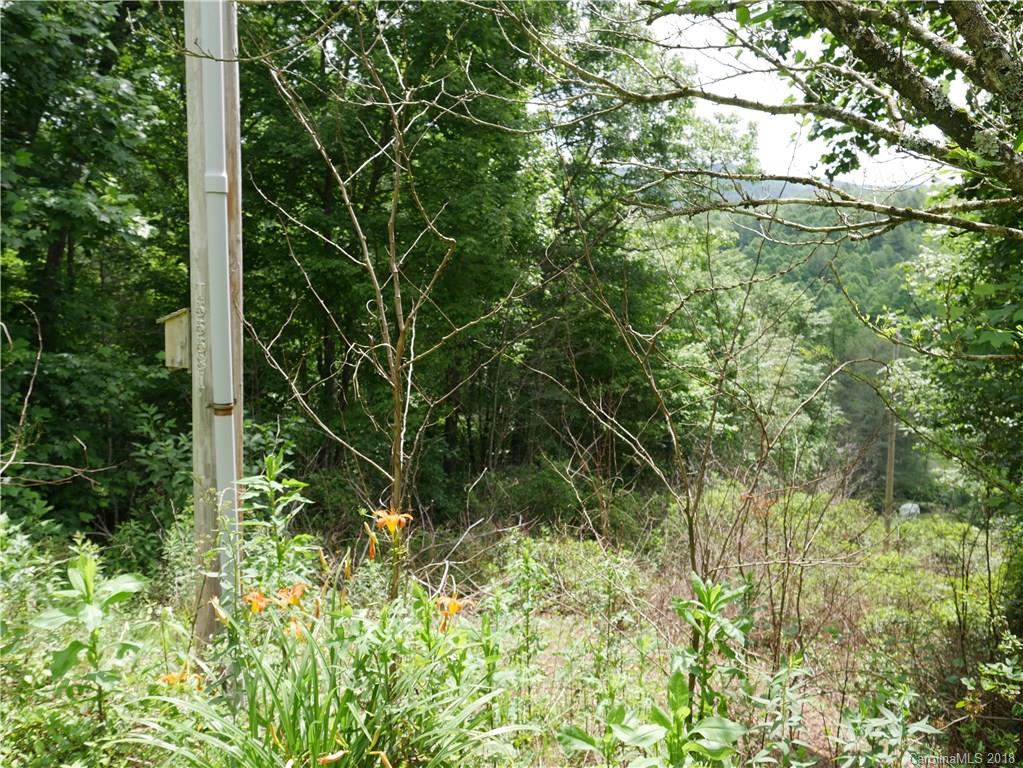 154 Paul Harvey Road Balsam Grove, NC 28708 - Photo 25 of 26 Gallery Image 25