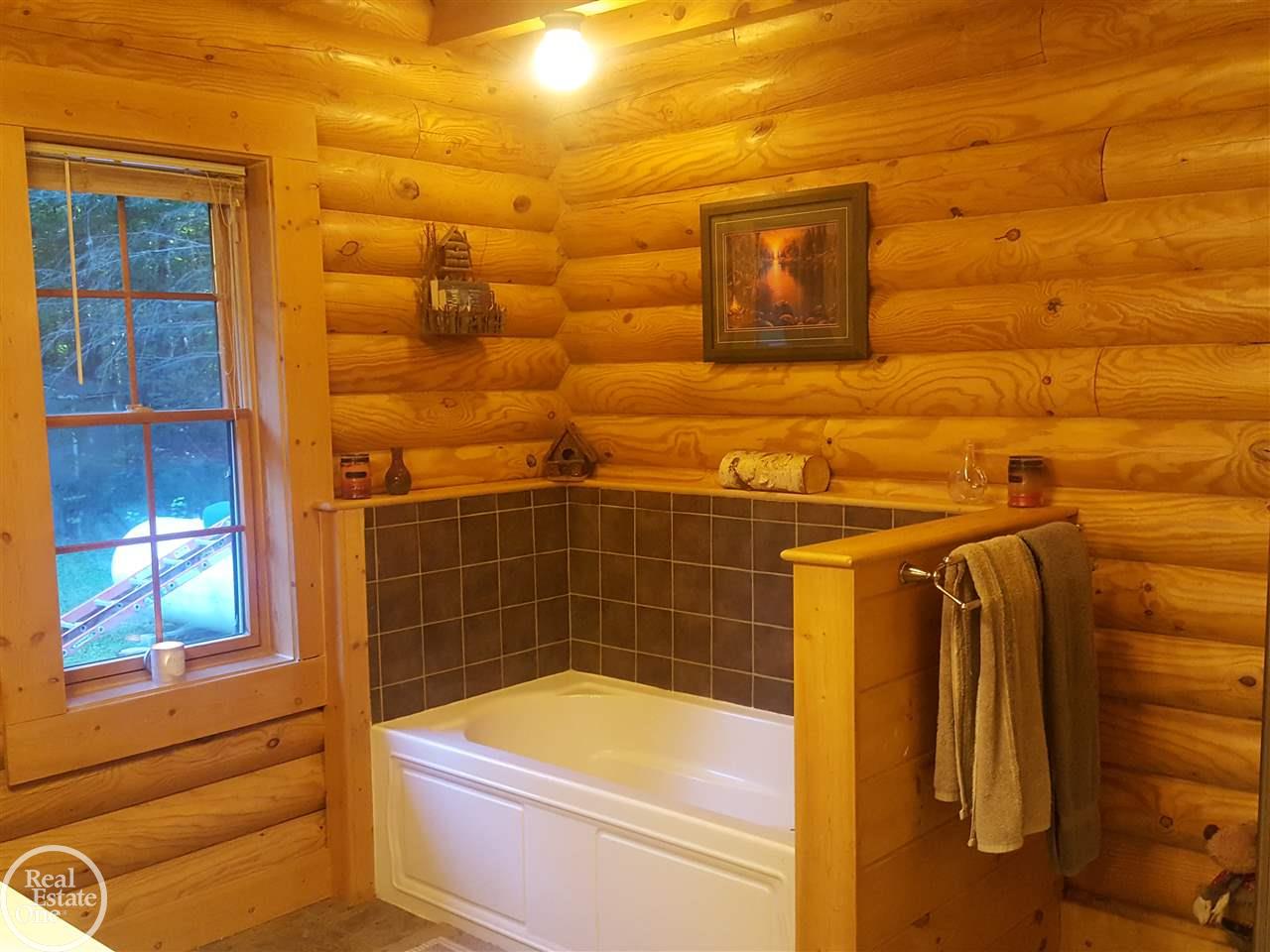 4396 Mortimer Line Road Croswell, MI 48422 - Photo 18 of 42