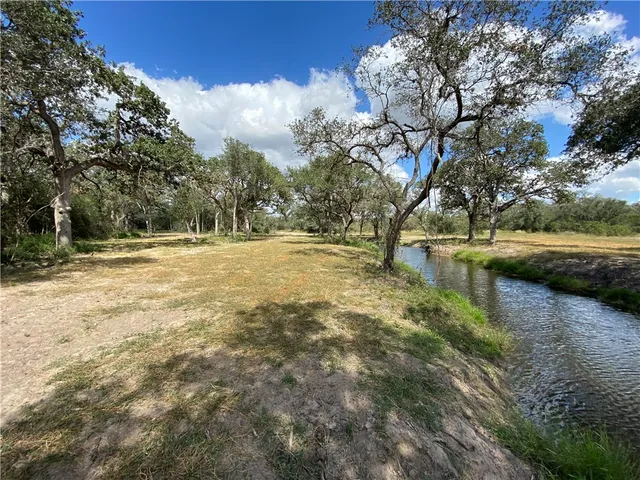 a view of dirt field with trees around