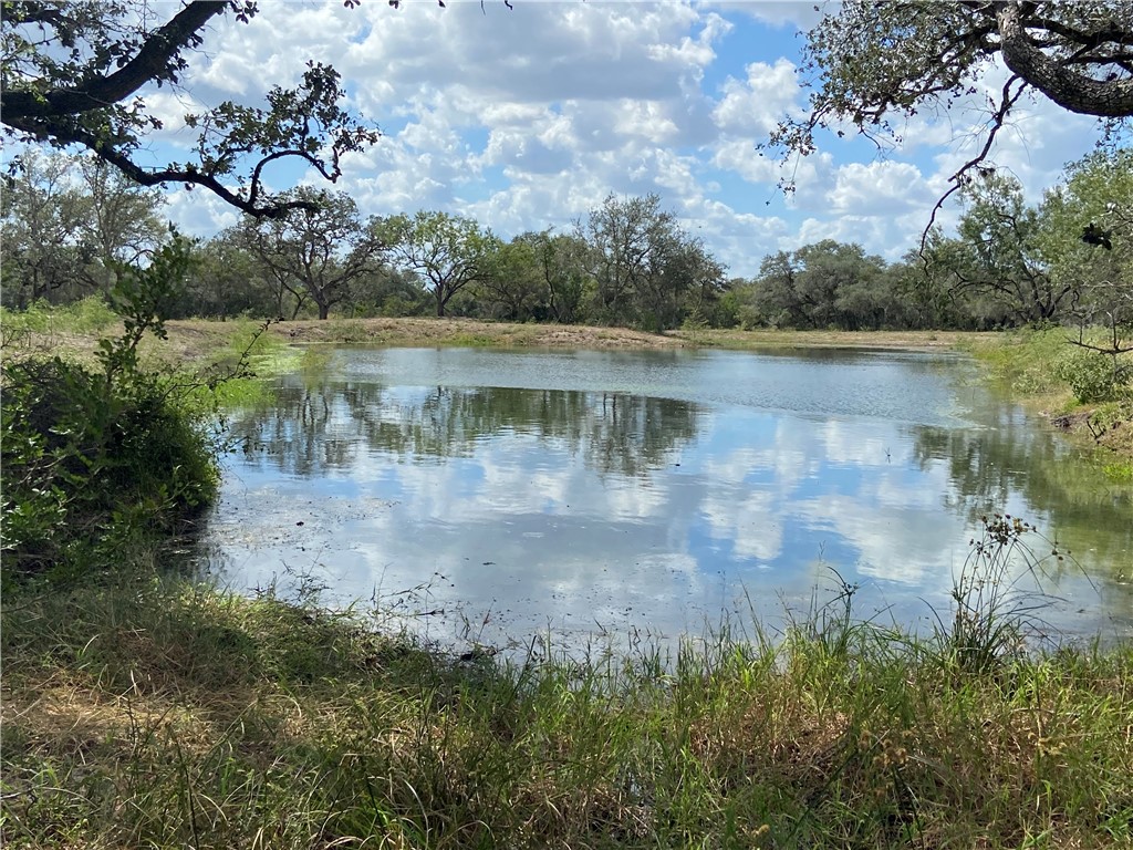 2696 Franke Road Goliad, TX 77963 - Photo 12 of 12 a view of a lake with houses in the back