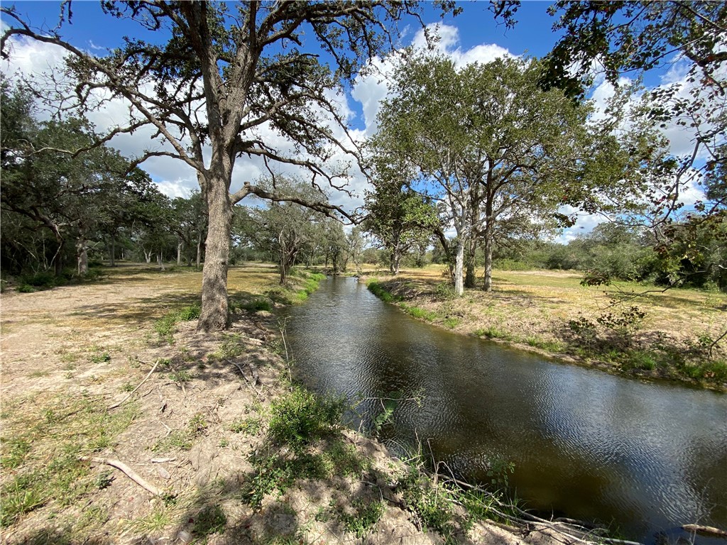 2696 Franke Road Goliad, TX 77963 - Photo 10 of 12 a view of lake view with tree