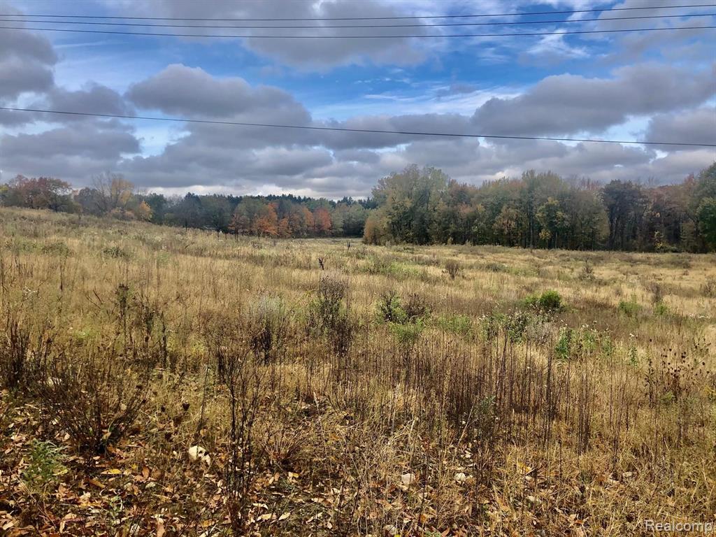 Parcel A-2 Parcel A-2 Dryden Road Metamora, MI 48455 - Photo 1 of 10