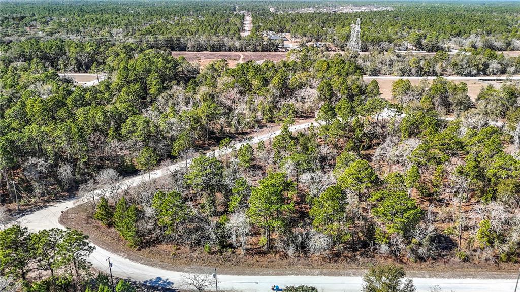 16070 Sheldrake Loop Weeki Wachee, FL 34614 - Photo 13 of 23 an aerial view of residential houses with outdoor space and trees