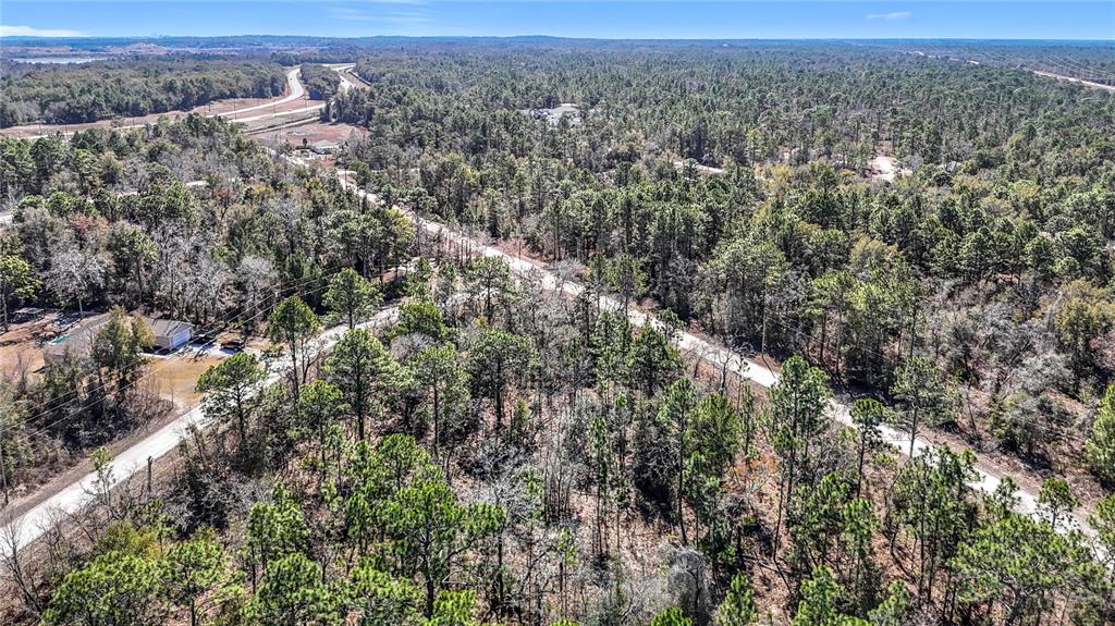16070 Sheldrake Loop Weeki Wachee, FL 34614 - Photo 16 of 23 an aerial view of multiple house