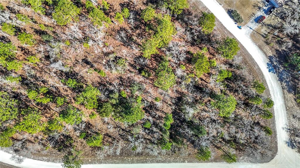 16070 Sheldrake Loop Weeki Wachee, FL 34614 - Photo 17 of 23 a view of a garden with a tree