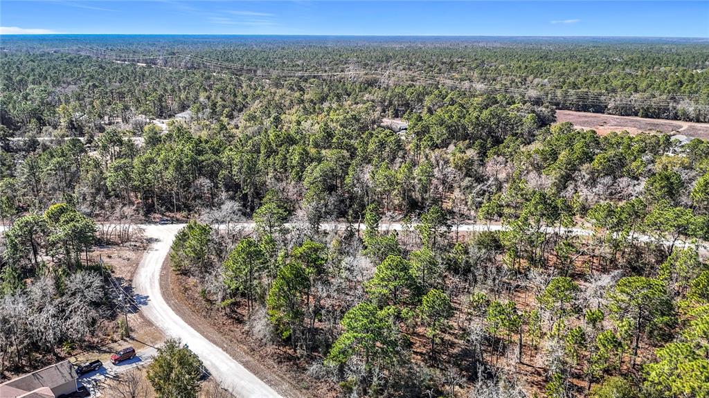 16070 Sheldrake Loop Weeki Wachee, FL 34614 - Photo 18 of 23 a view of a city with lush green forest