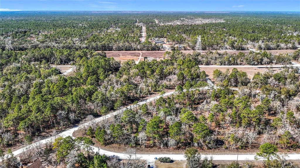 16070 Sheldrake Loop Weeki Wachee, FL 34614 - Photo 20 of 23 a view of a city