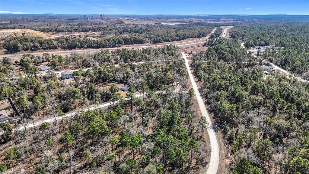16070 Sheldrake Loop Weeki Wachee, FL 34614 - Photo 22 of 23 an aerial view of residential house and green space