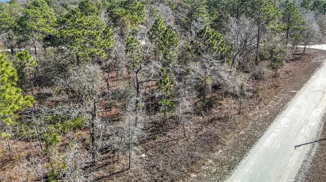 a close up of a tree in a yard