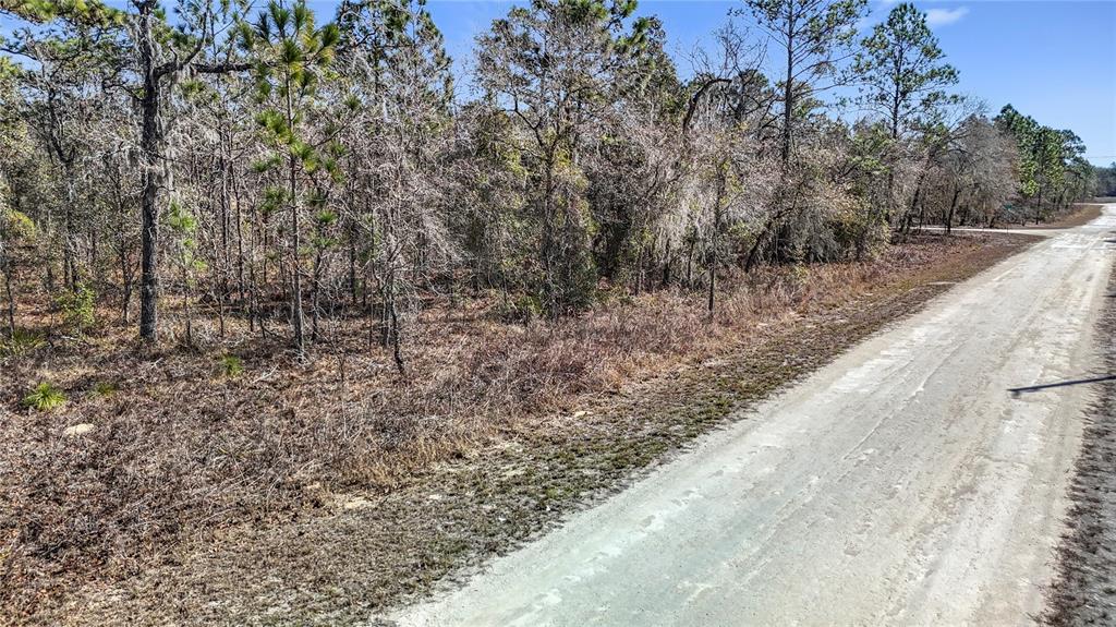 16070 Sheldrake Loop Weeki Wachee, FL 34614 - Photo 4 of 23 a view of a yard with large trees