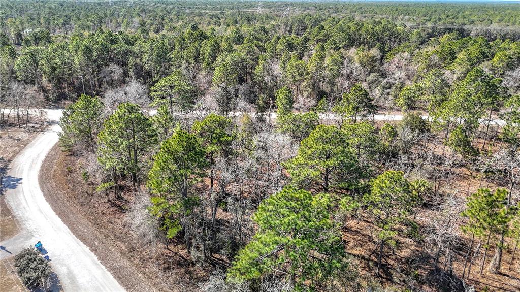 16070 Sheldrake Loop Weeki Wachee, FL 34614 - Photo 9 of 23 a view of a garden with trees