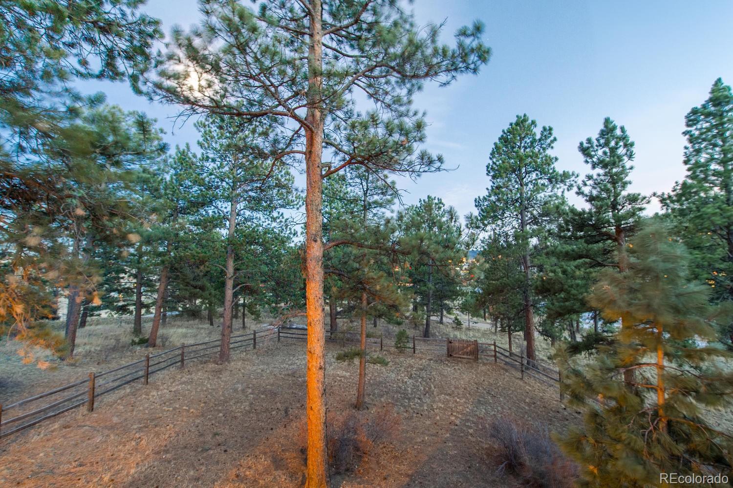 30805 Tanoa Road Evergreen, CO 80439 - Photo 30 of 35 Gallery Image 30