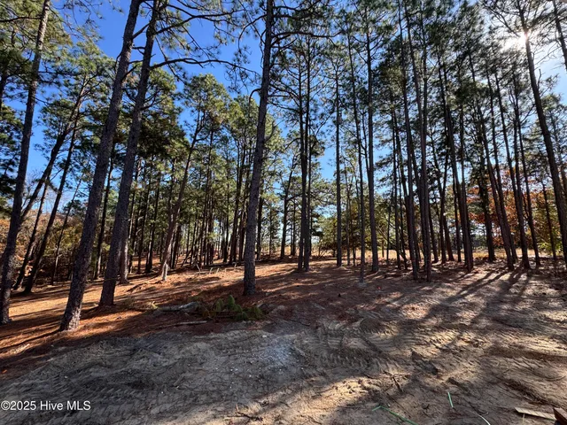 $548,999 | 494 Longleaf Drive, West End, NC 27376