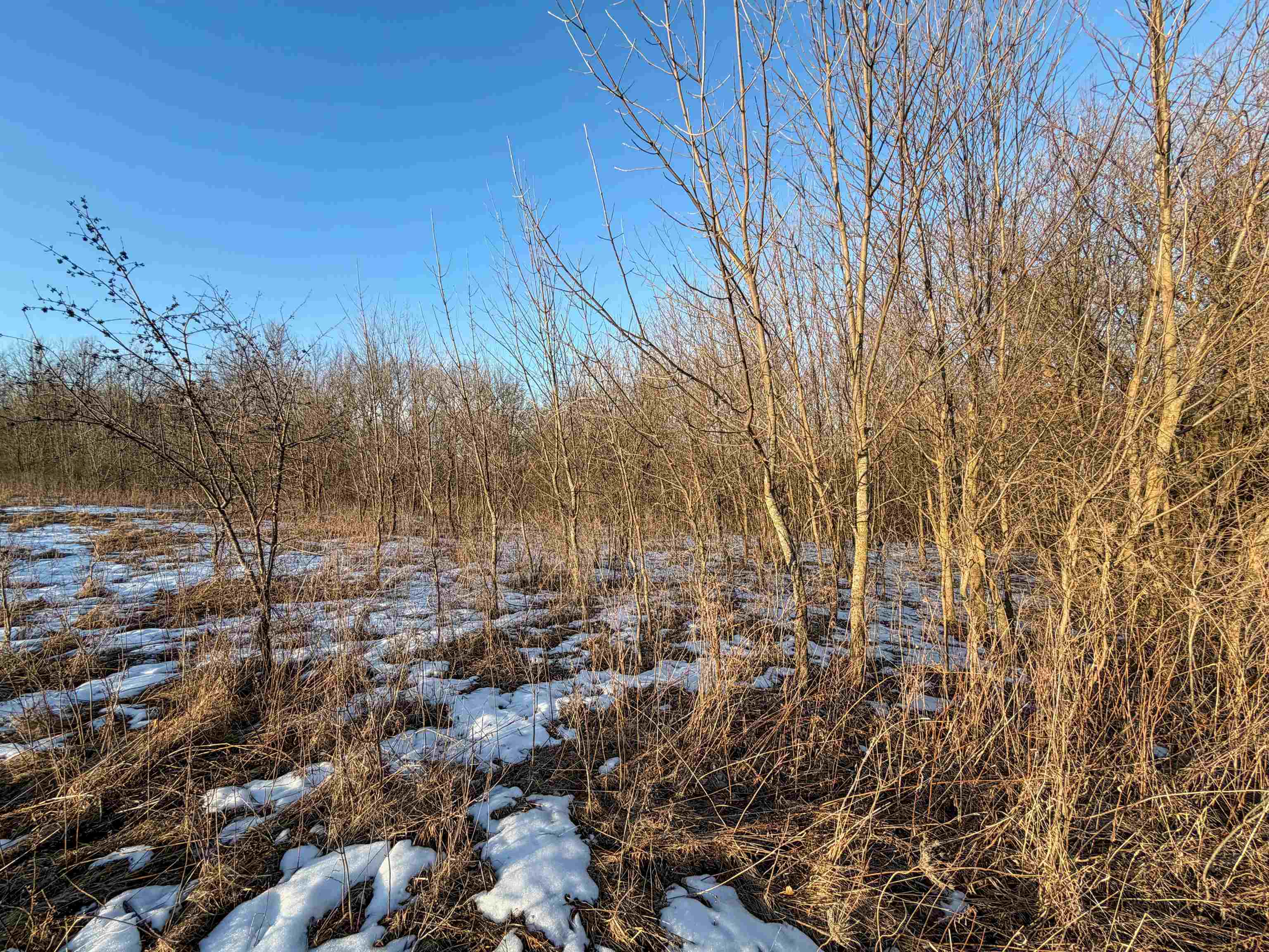 0 Norway Kendall, WI 54638 - Photo 21 of 42