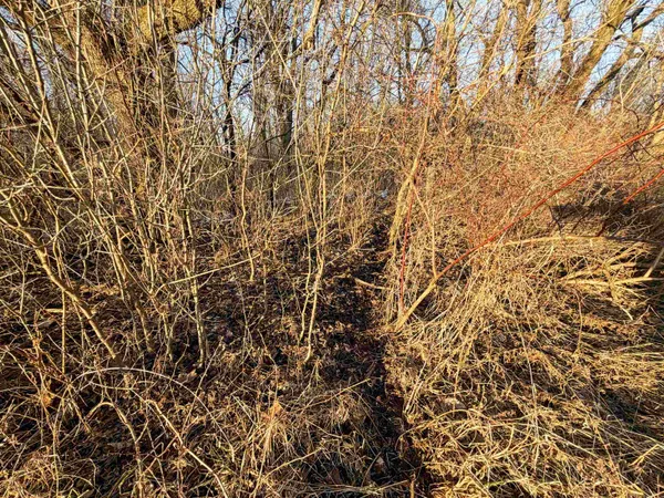 $165,000 | 0 Norway, Kendall, WI 54638