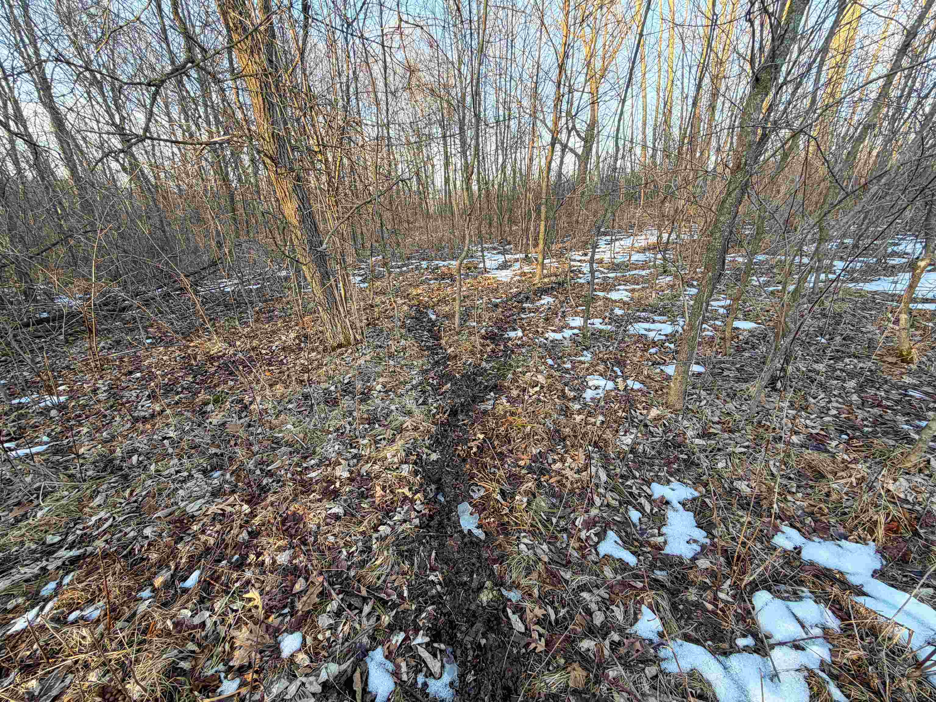 0 Norway Kendall, WI 54638 - Photo 26 of 42