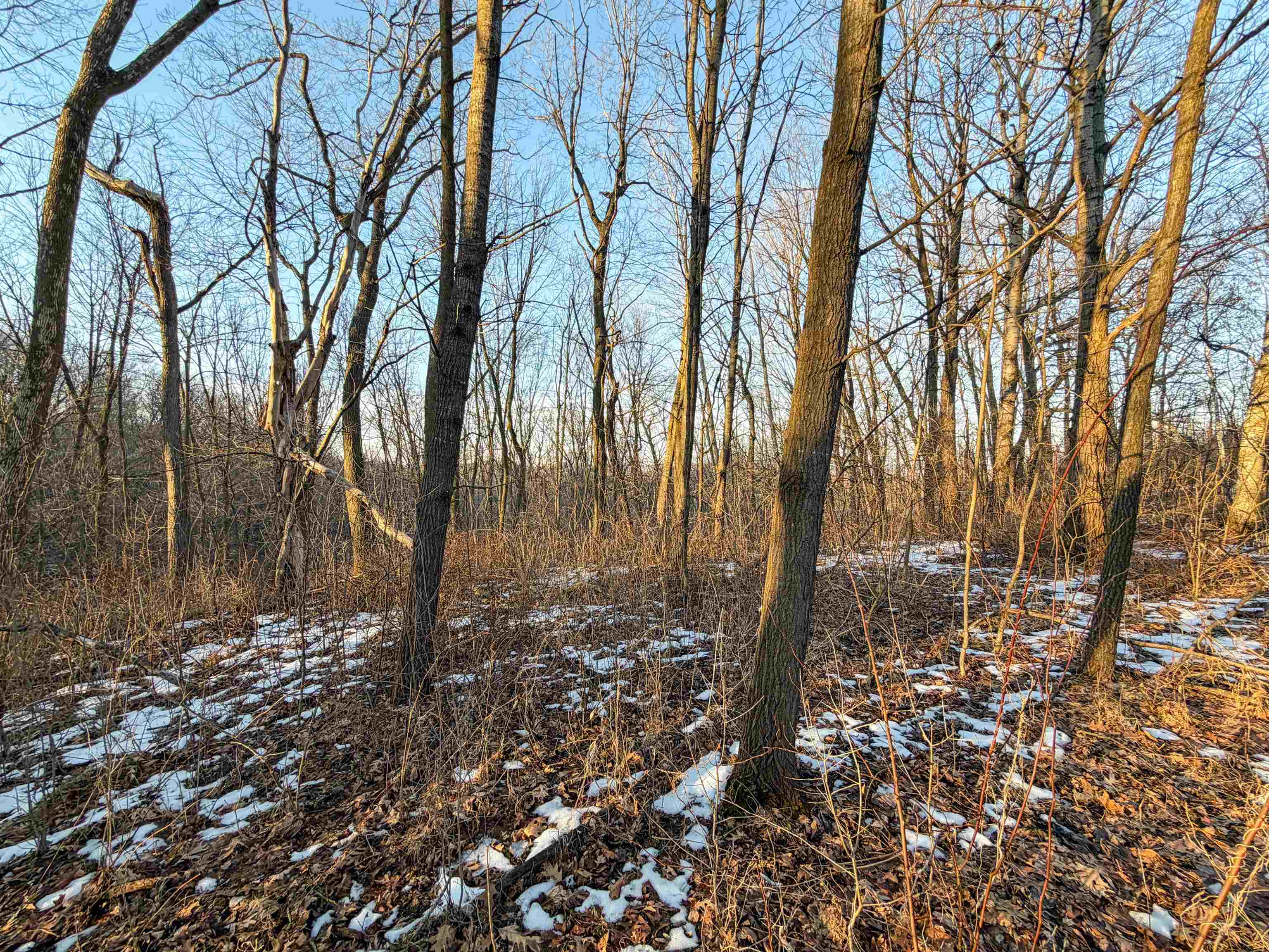 0 Norway Kendall, WI 54638 - Photo 29 of 42
