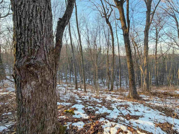 $165,000 | 0 Norway, Kendall, WI 54638