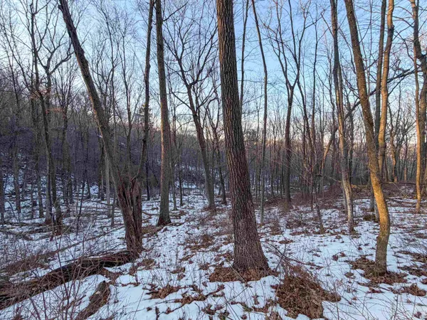 $165,000 | 0 Norway, Kendall, WI 54638