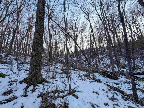 $165,000 | 0 Norway, Kendall, WI 54638