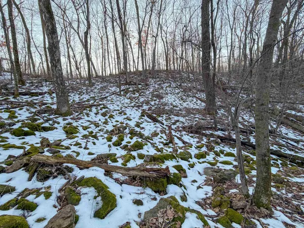 $165,000 | 0 Norway, Kendall, WI 54638