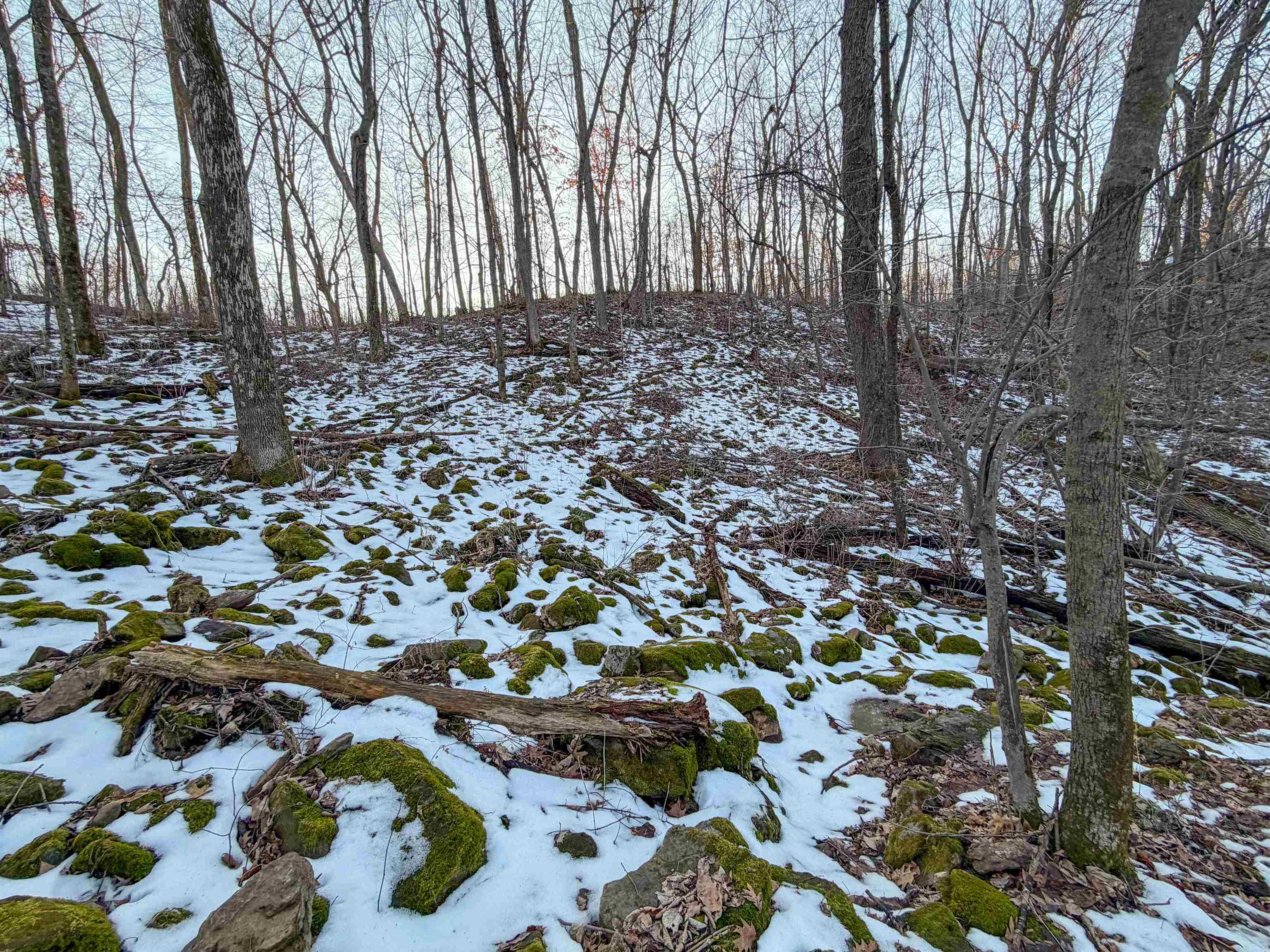 0 Norway Kendall, WI 54638 - Photo 35 of 42
