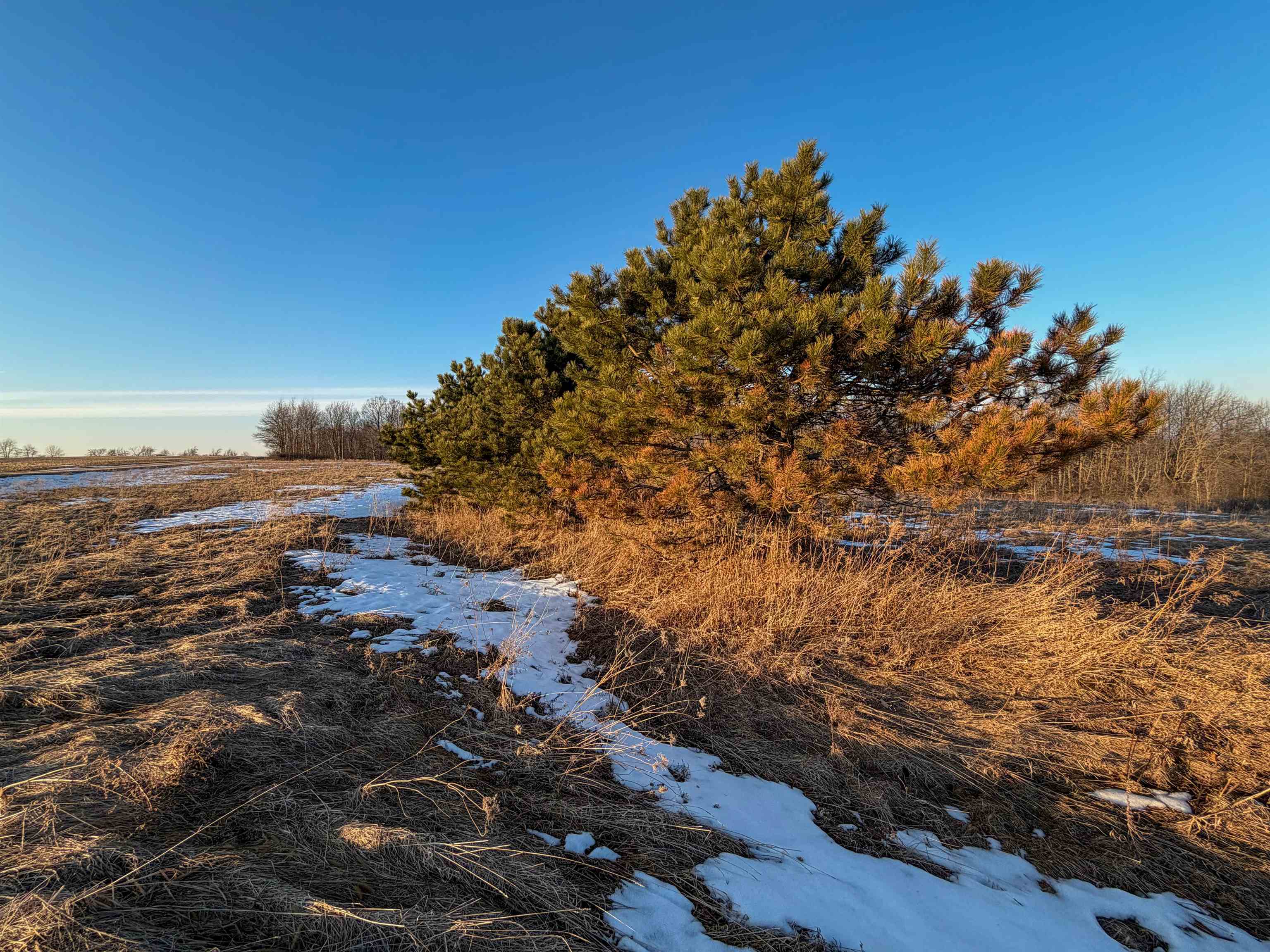 0 Norway Kendall, WI 54638 - Photo 39 of 42