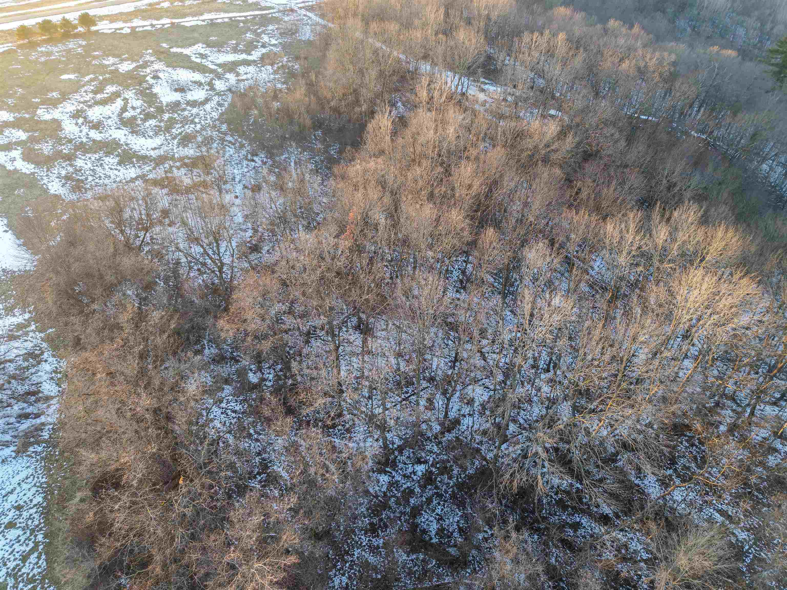 0 Norway Kendall, WI 54638 - Photo 10 of 42